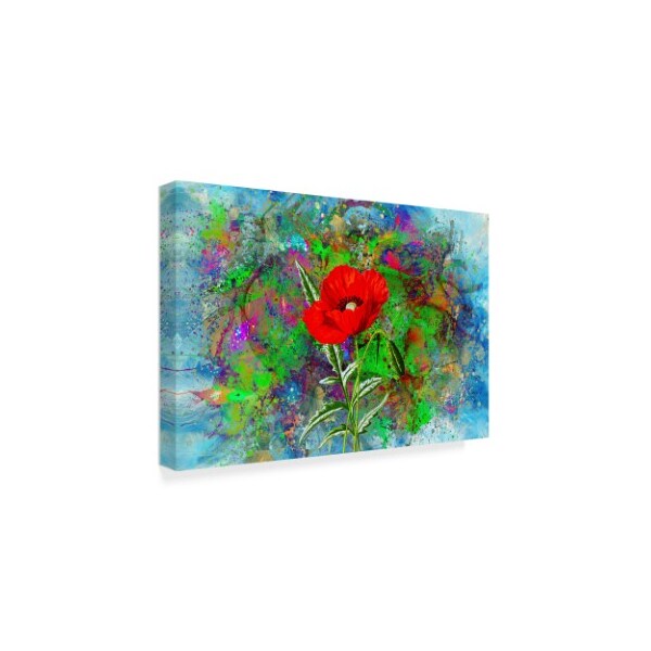 Ata Alishahi 'Color Explosion 13' Canvas Art,16x24